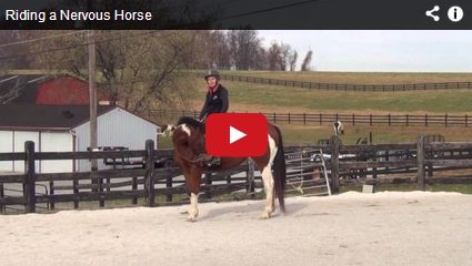 Callie King Video Image