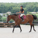 Ariat Breeze Half Chaps