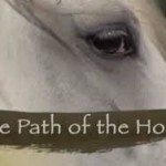 Horseclass Image