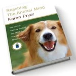 Book Review: Reaching the Animal Mind