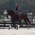 Horseclass Image