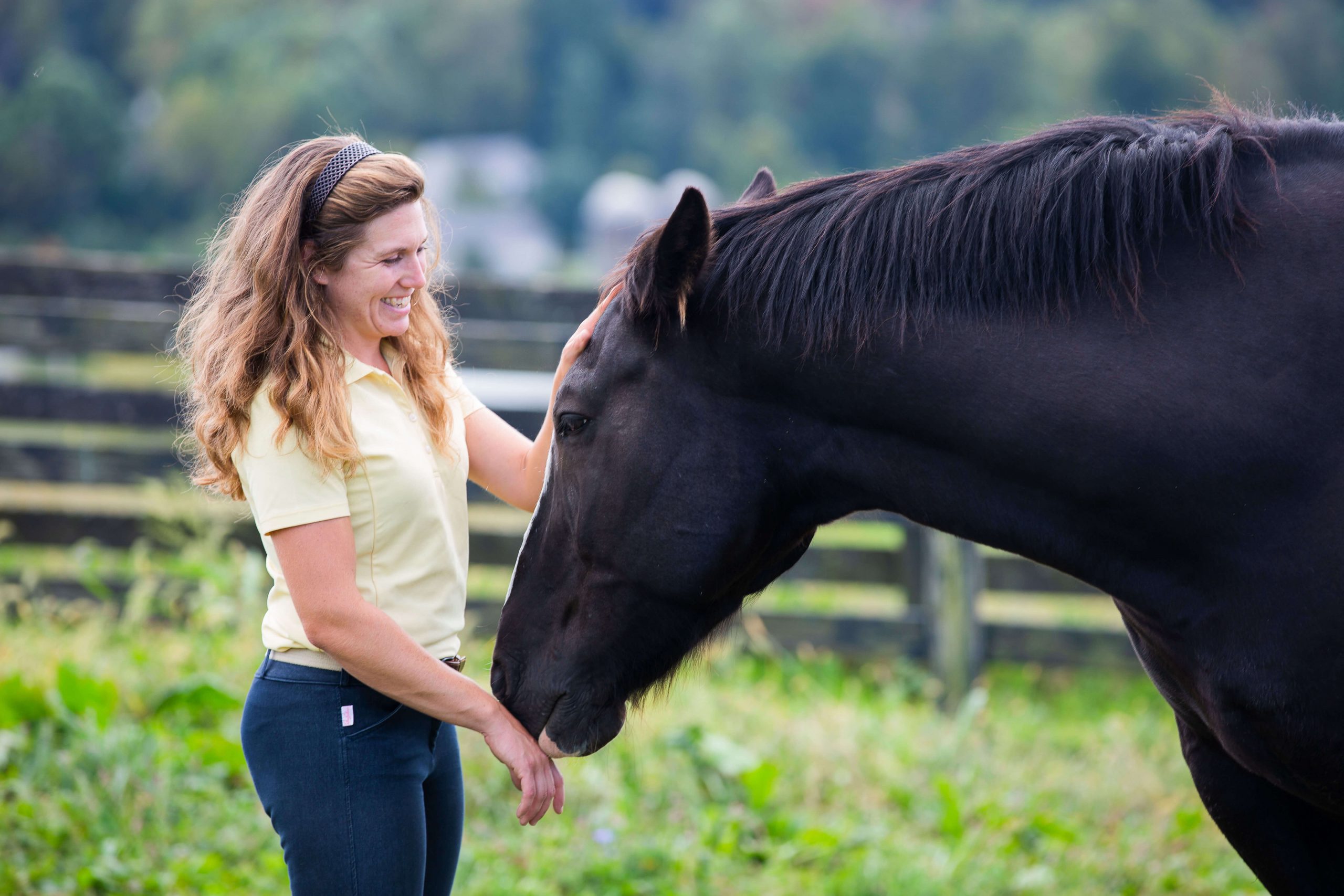 Are Dominance and Leadership Important in Horse Training?
