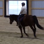 Horseclass Image