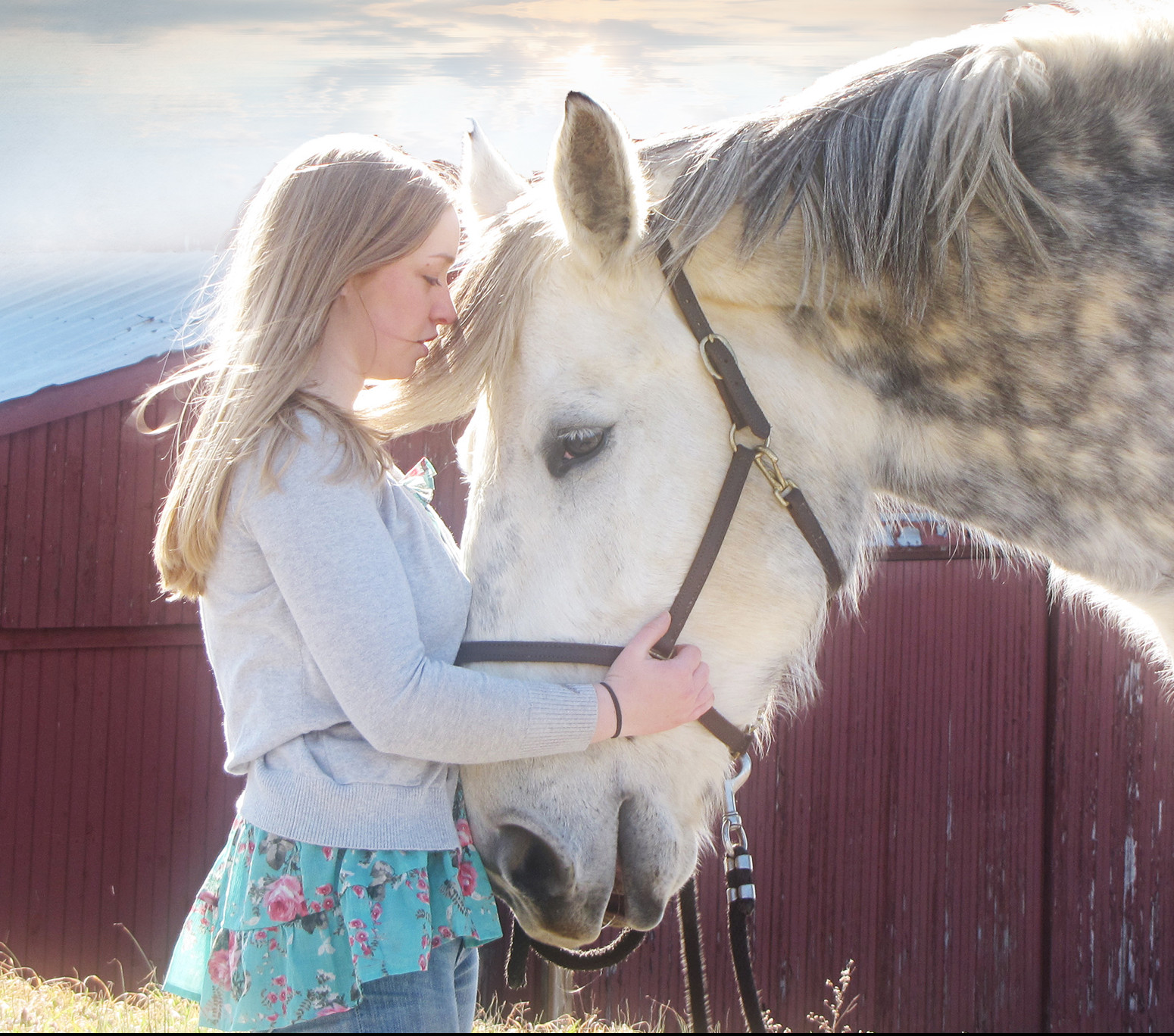 Horse Class Image