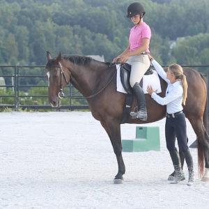 Horse Class Image