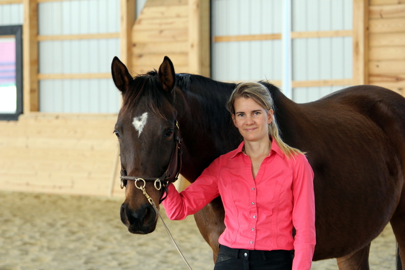 Horse Class Horse Image