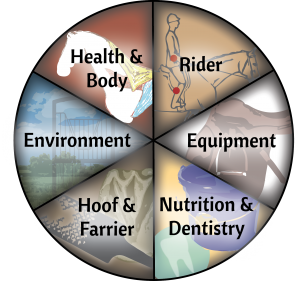 Horse Class Wheel Image