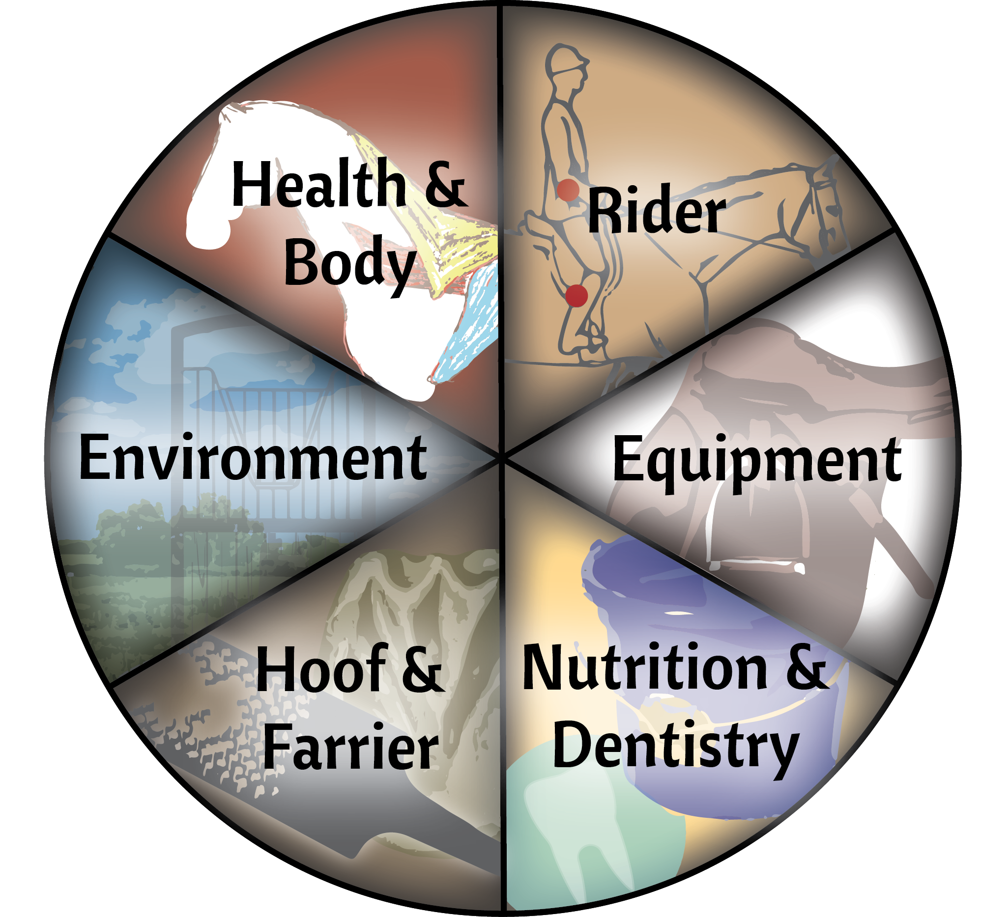 Horse Class Wheel Image