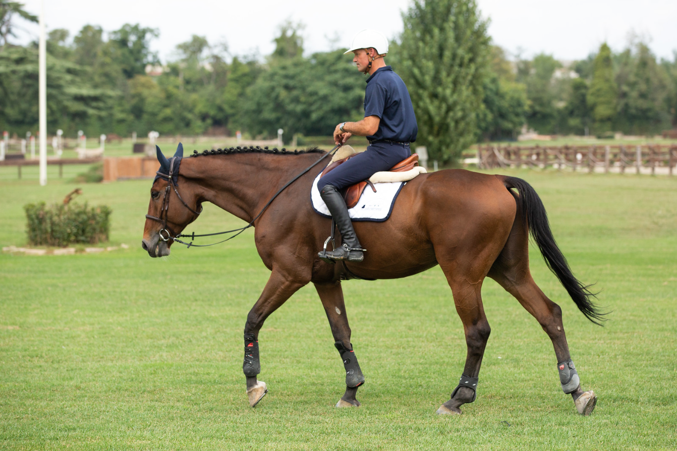 Horse Class Horse Riding Image