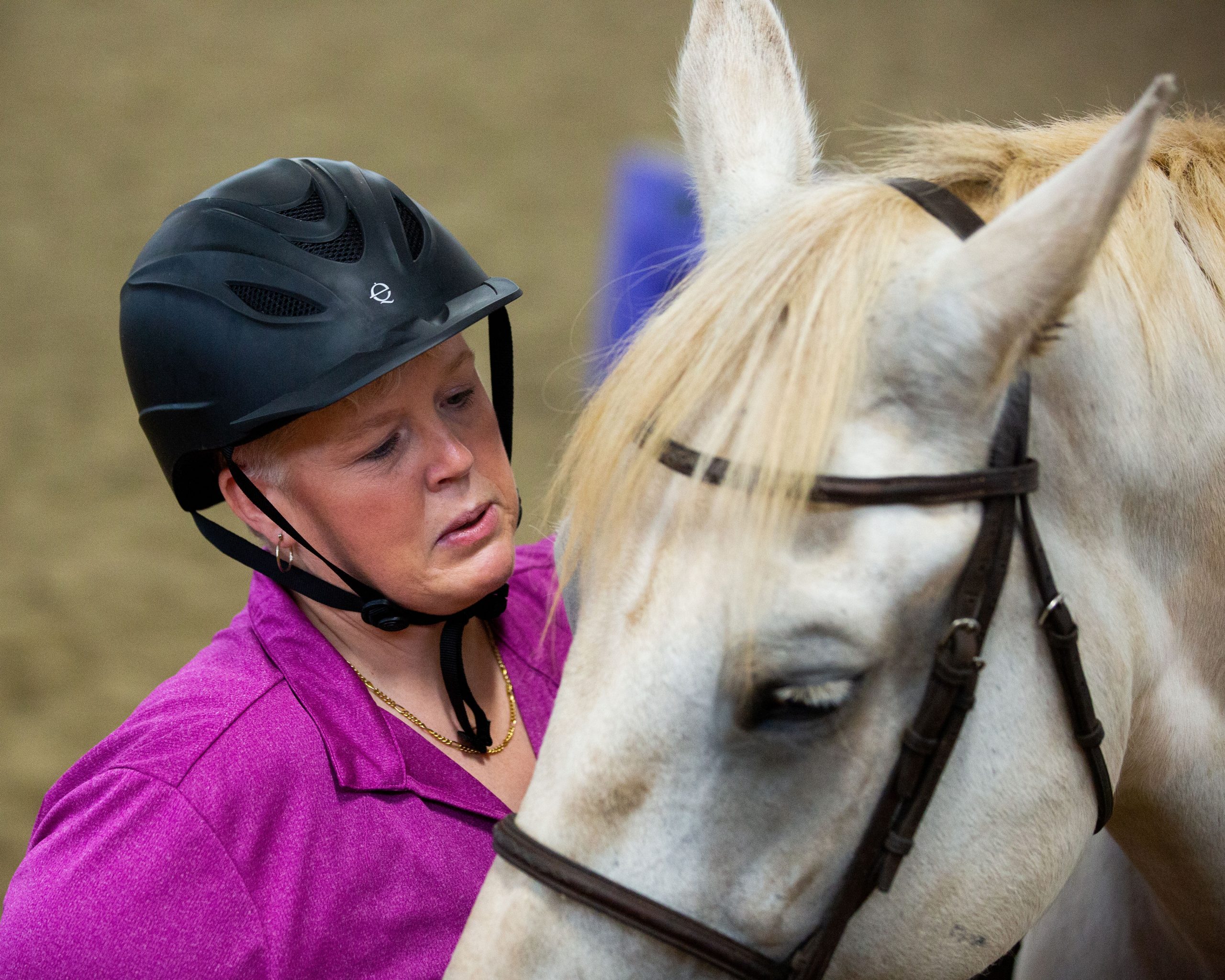 Horse Class Horse Riding Image