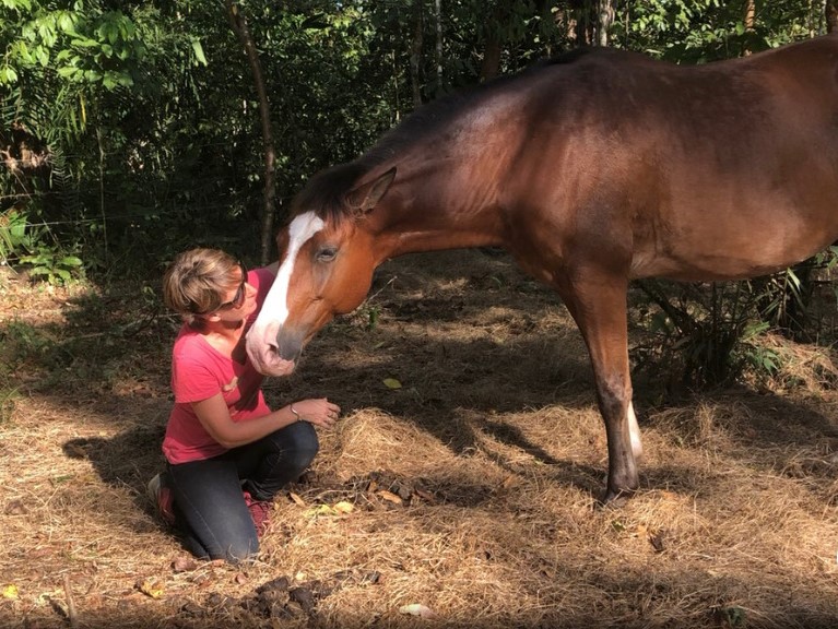 How to Develop a Friendship with Your Horse: An Interview with Andrea Wady