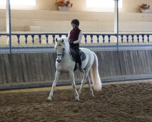 Horse Class Horse Riding Image