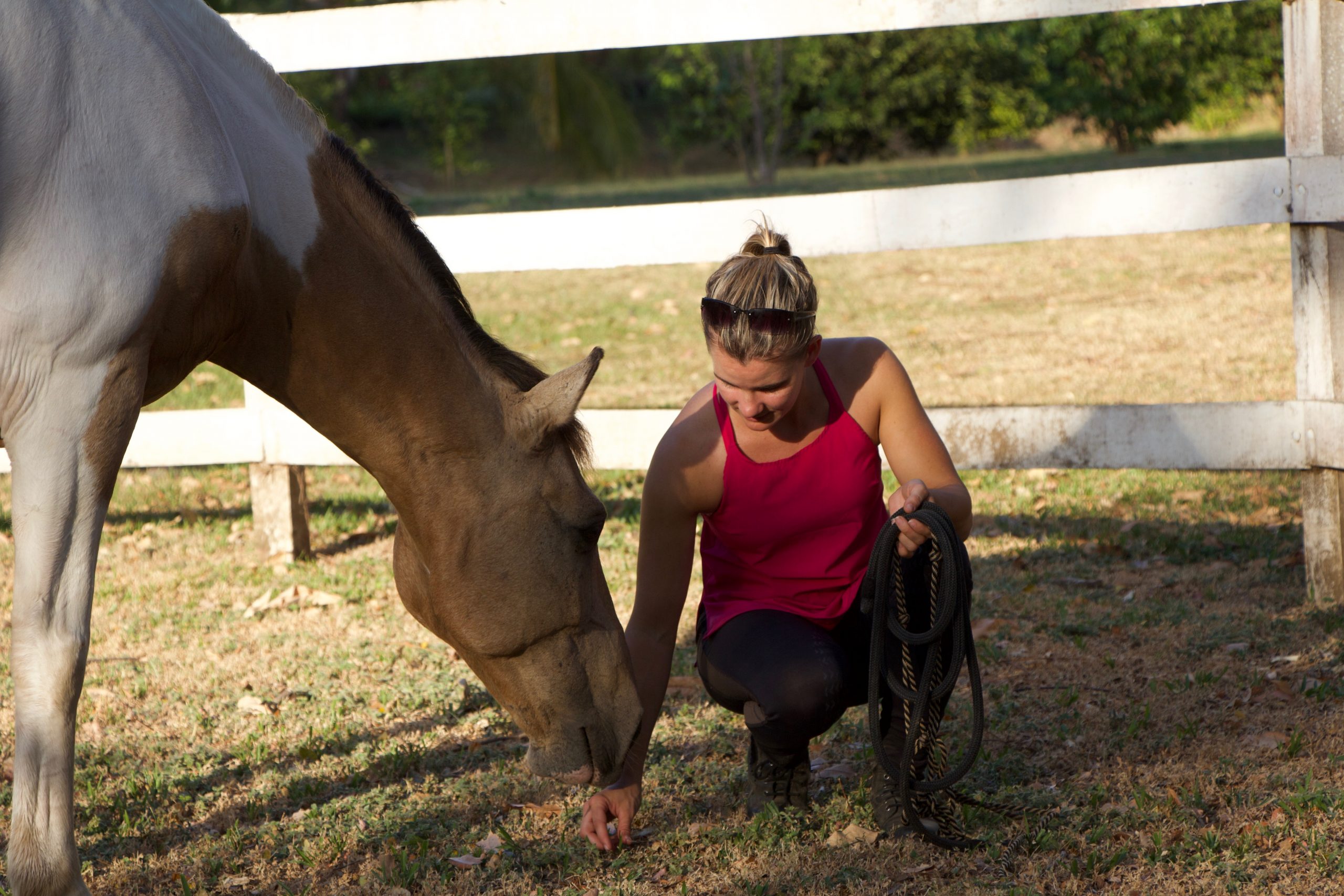 Horse Class Horse Riding Image