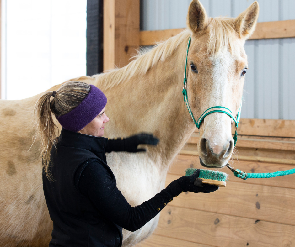 Horse Class Horse Riding Image