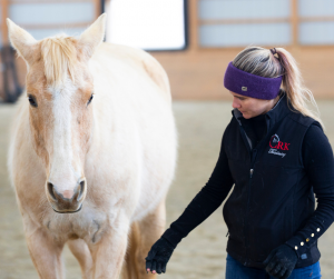 Horse Class Horse Riding Image