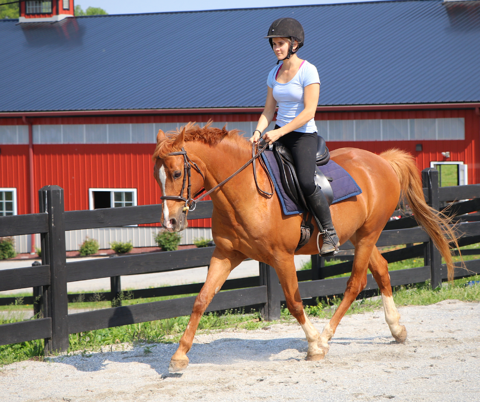 Horse Class Horse Riding Image