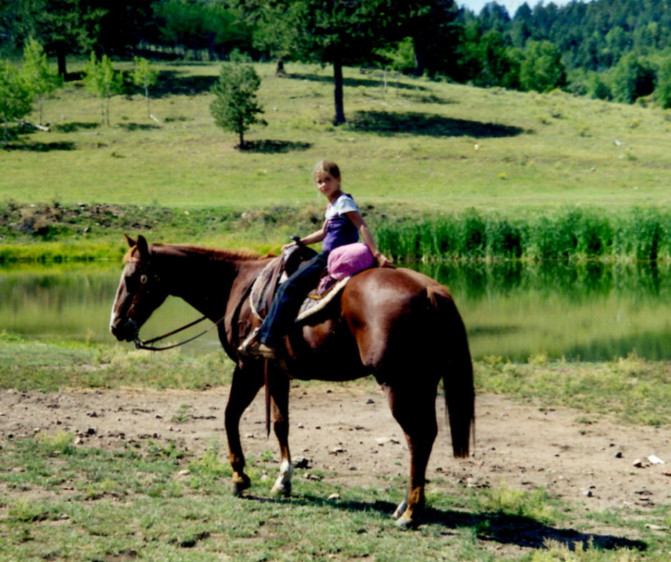 Horse Class Horse Riding Image