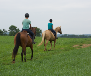 Horse Class Horse Riding Image