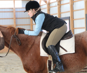 Horse Class Horse Riding Image