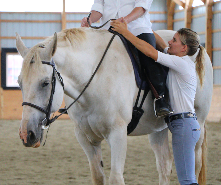 Horse Class Horse Riding Image