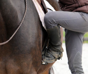 Horse Class Horse Riding Image