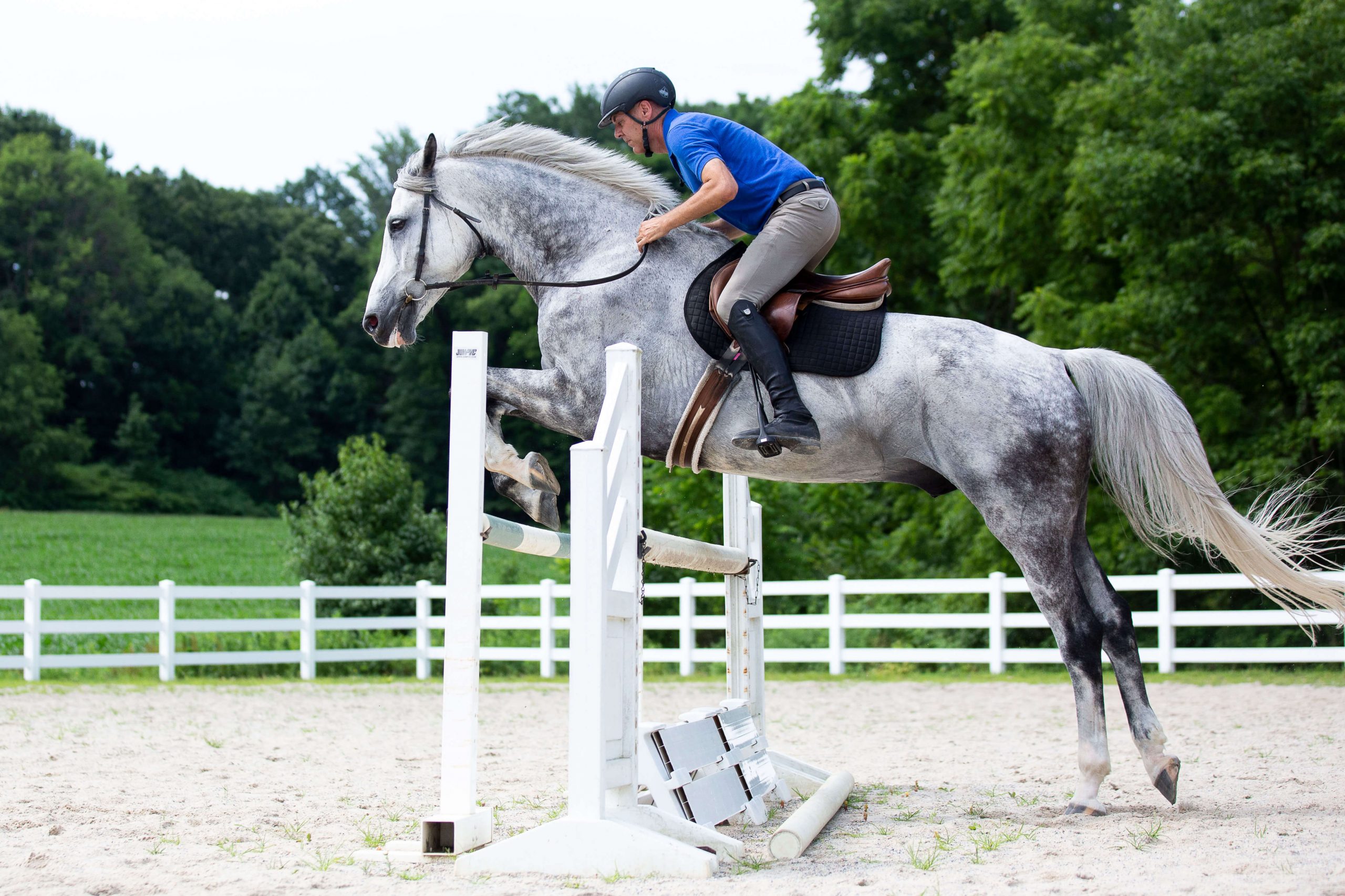 Solving Jumping Problems with Angelo Telatin