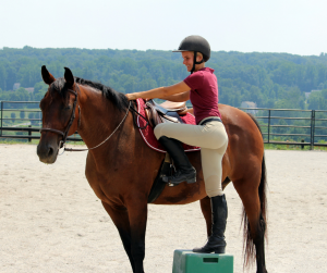 Horse Class Horse Riding Image