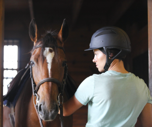 Horse Class Horse Riding Image