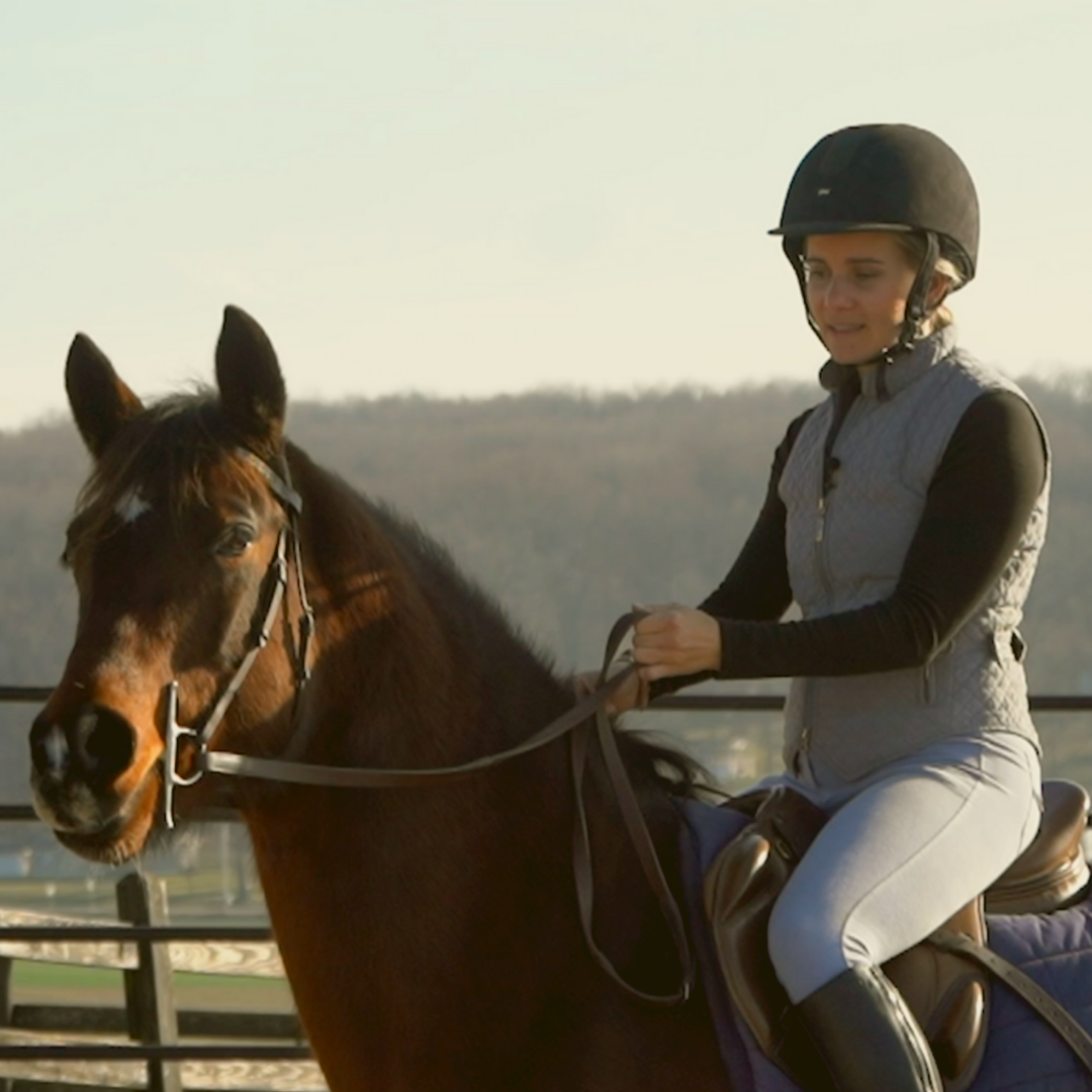 Horse Class Horse Riding Image