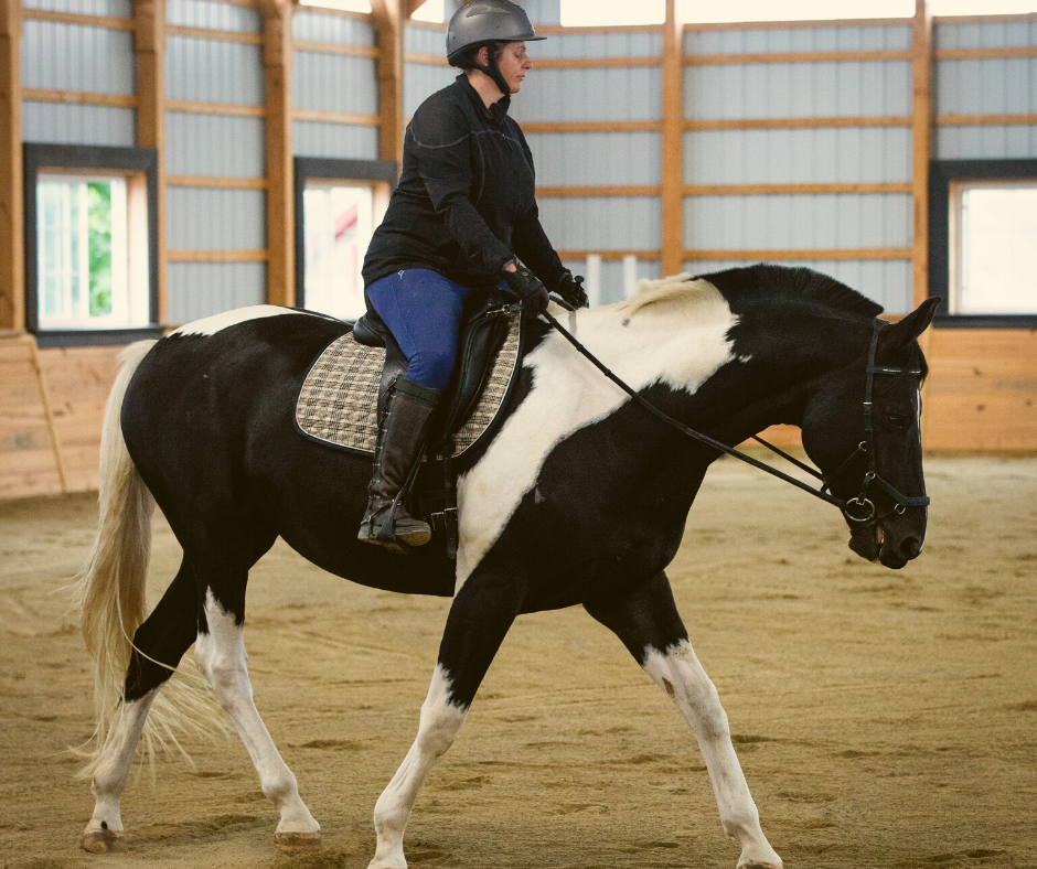 Horse Class Horse Riding Image