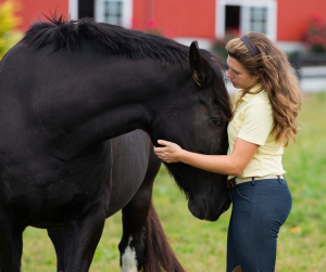 Horse Class Horse Riding Image