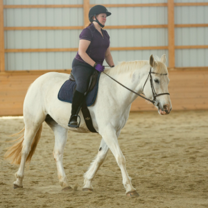 Horse Class Horse Riding Image