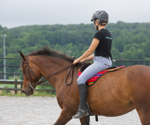 Horse Class Horse Riding Image