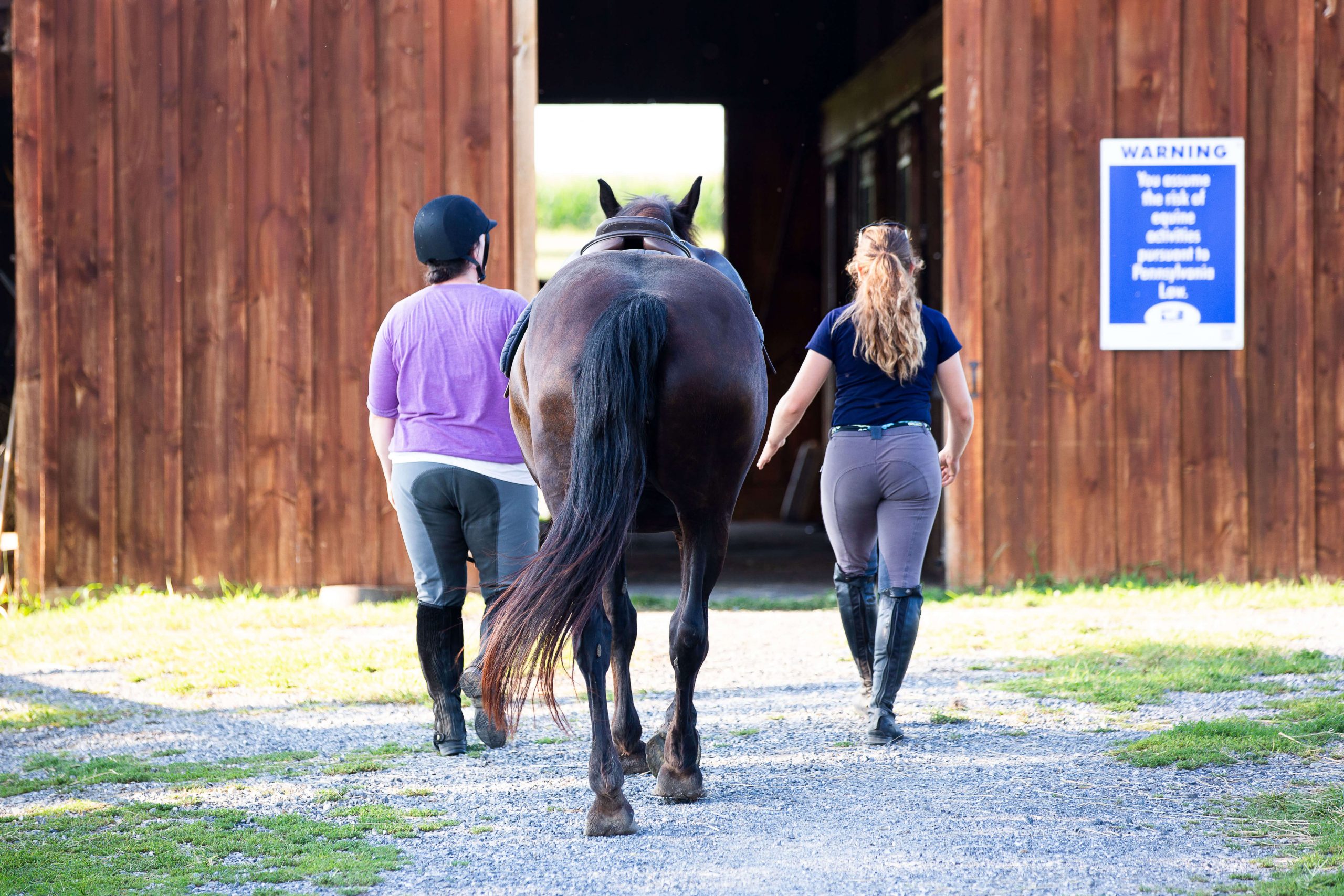 5 Reasons Why Horses Behave Differently for Different People