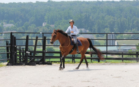 Horse Class Horse Riding Image