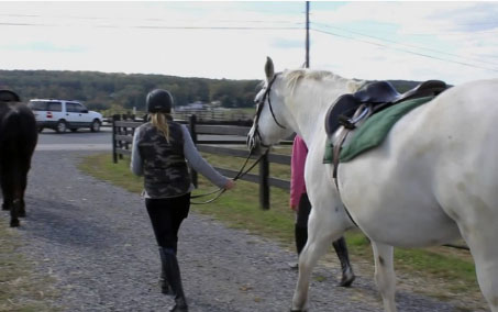 Horse Class Horse Riding Image