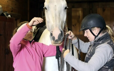 Horse Class Horse Riding Image