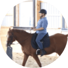 Horse Class Circle Image