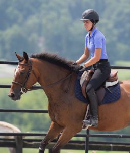 Horse Class Horse Riding Image