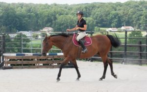 Horse Class Horse Riding Image