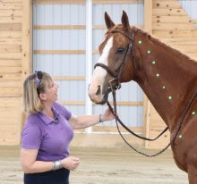 Horse Class Horse Riding Image