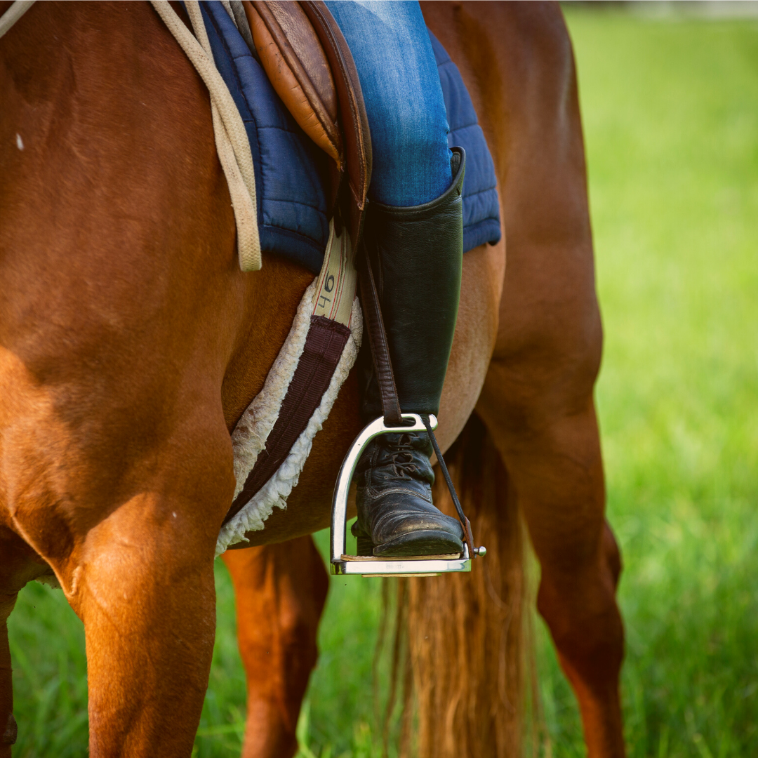 Horse Class Horse Riding Image