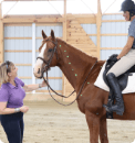 Horse Class Horse Riding Image