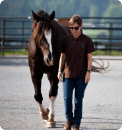 Horse Class Horse Riding Image