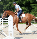 Horse Class Horse Riding Image