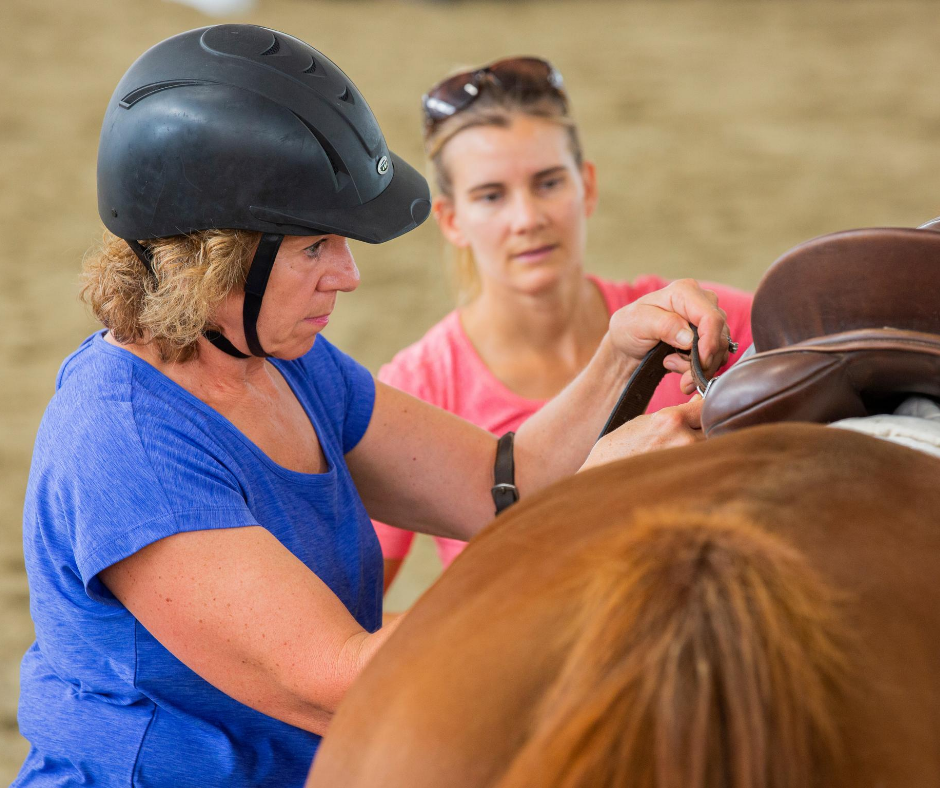 Horse Class Horse Riding Image