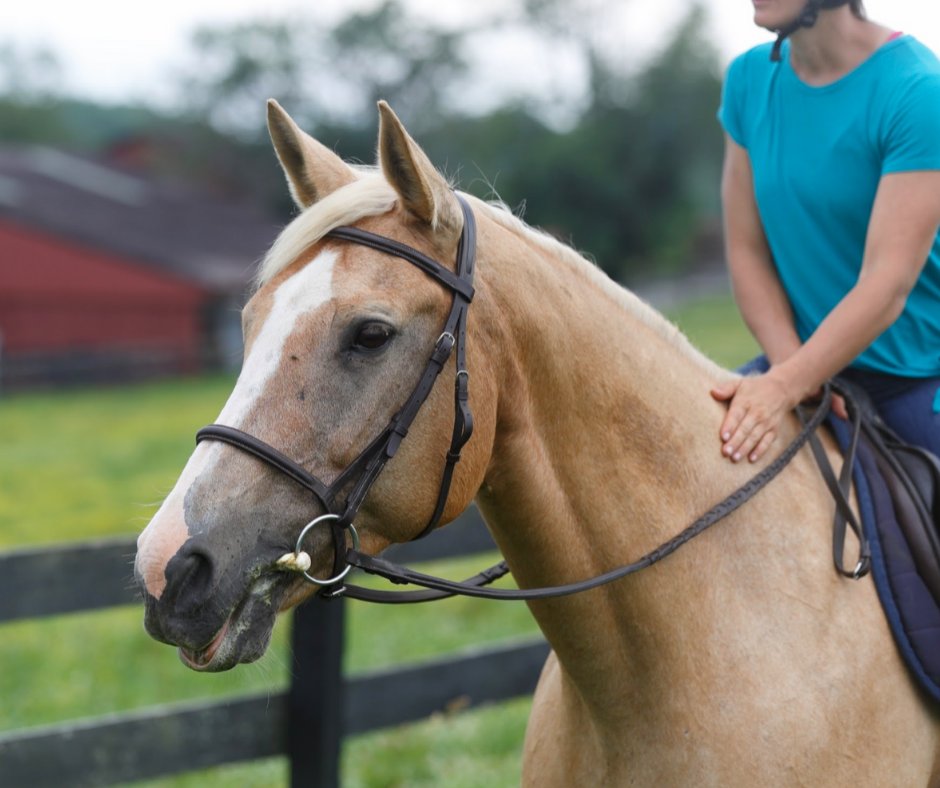 Unconventional Thoughts on Nervous Horses