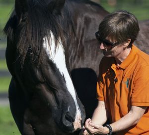 Horse Class Horse Riding Image