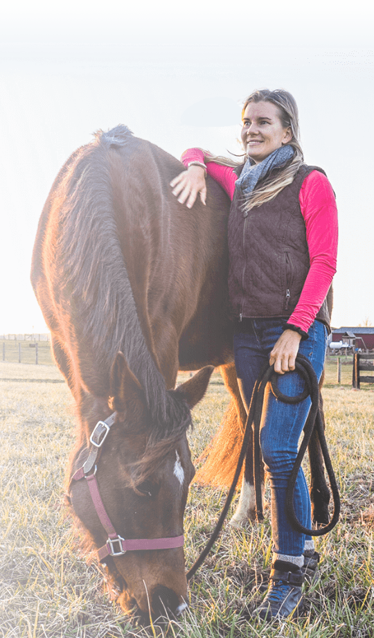 Horse Class Horse Riding Image