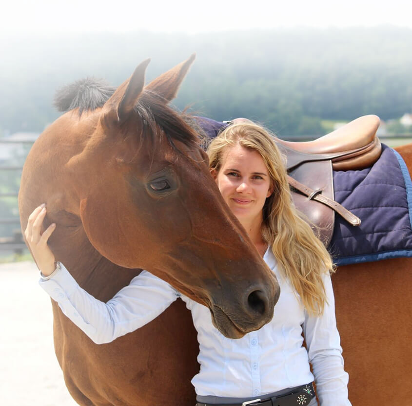 Horse Class Horse Riding Image